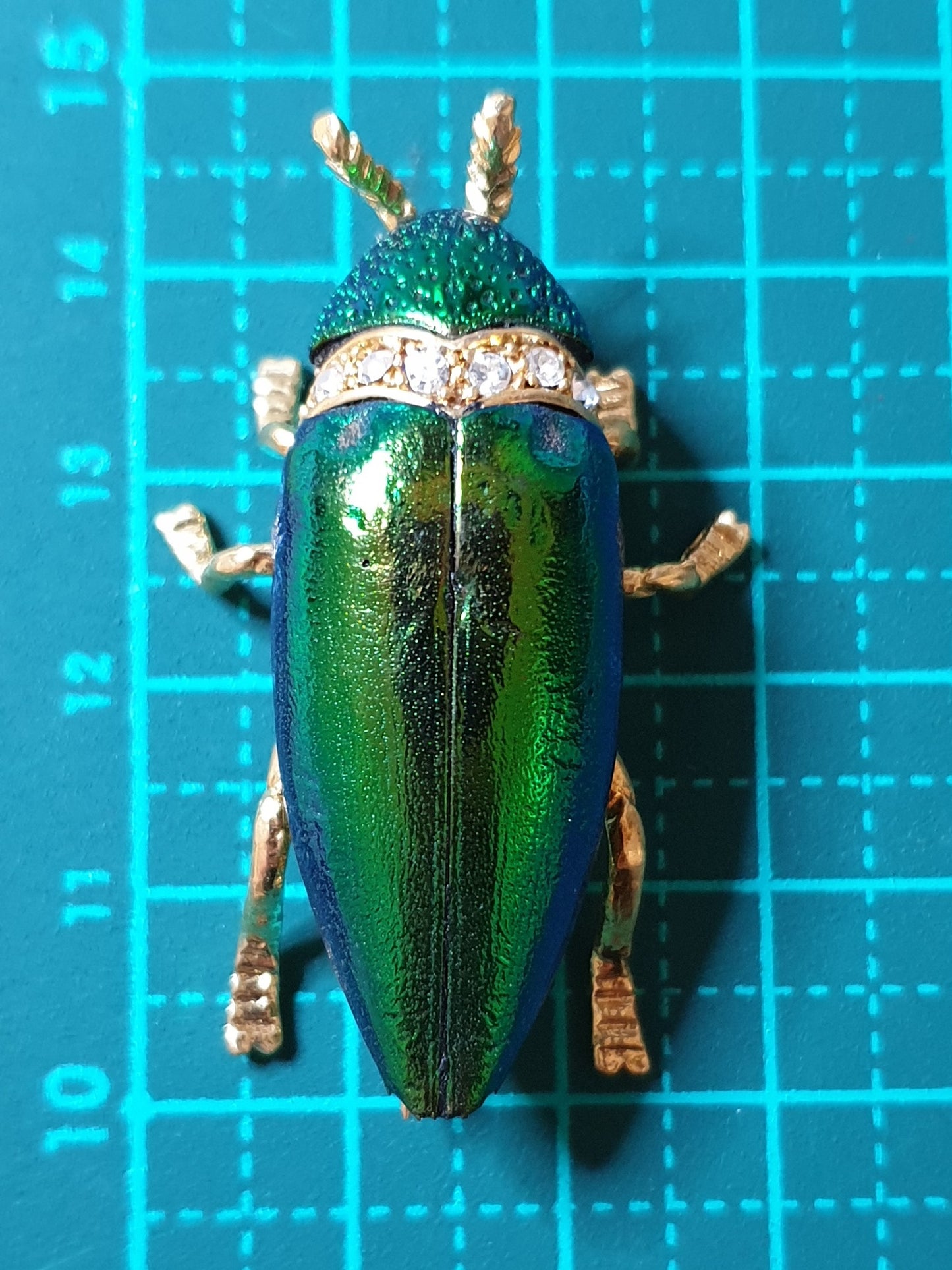 Real Jewel Beetle Brooch