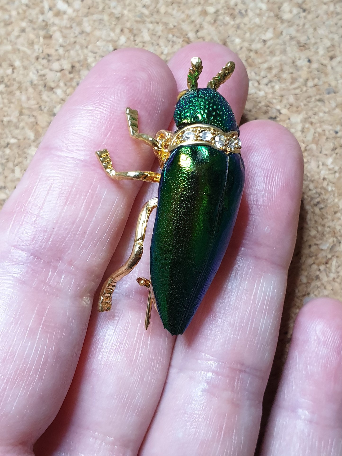 Real Jewel Beetle Brooch