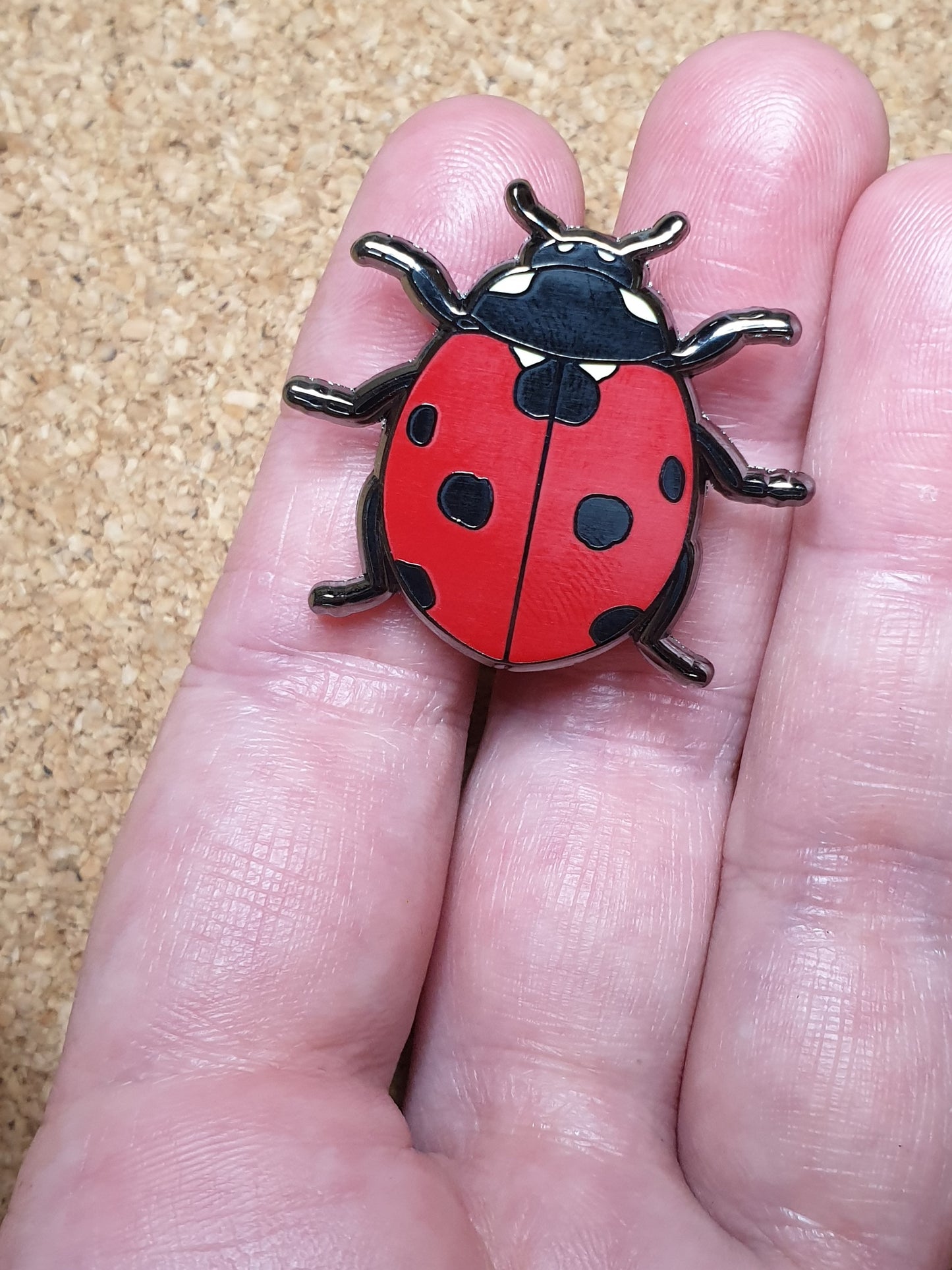 Ladybird Beetle Pin
