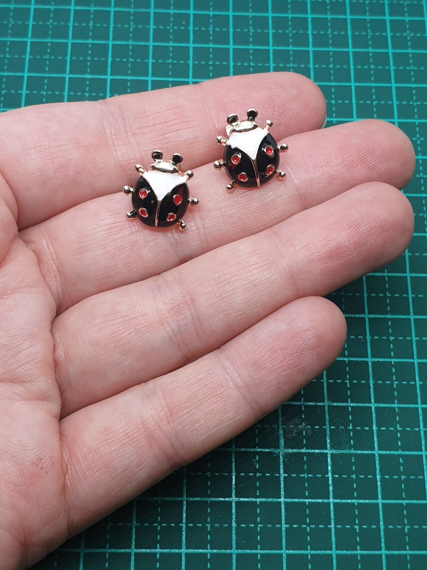 Ladybird beetle Studs - Black