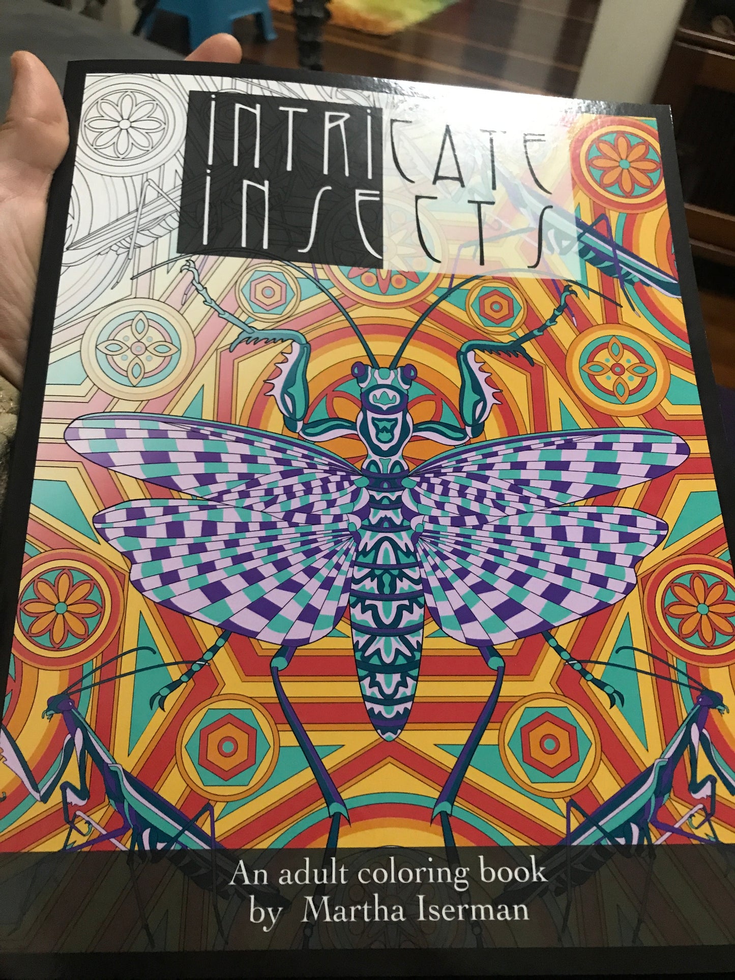 Intricate Insects: An adult colouring book