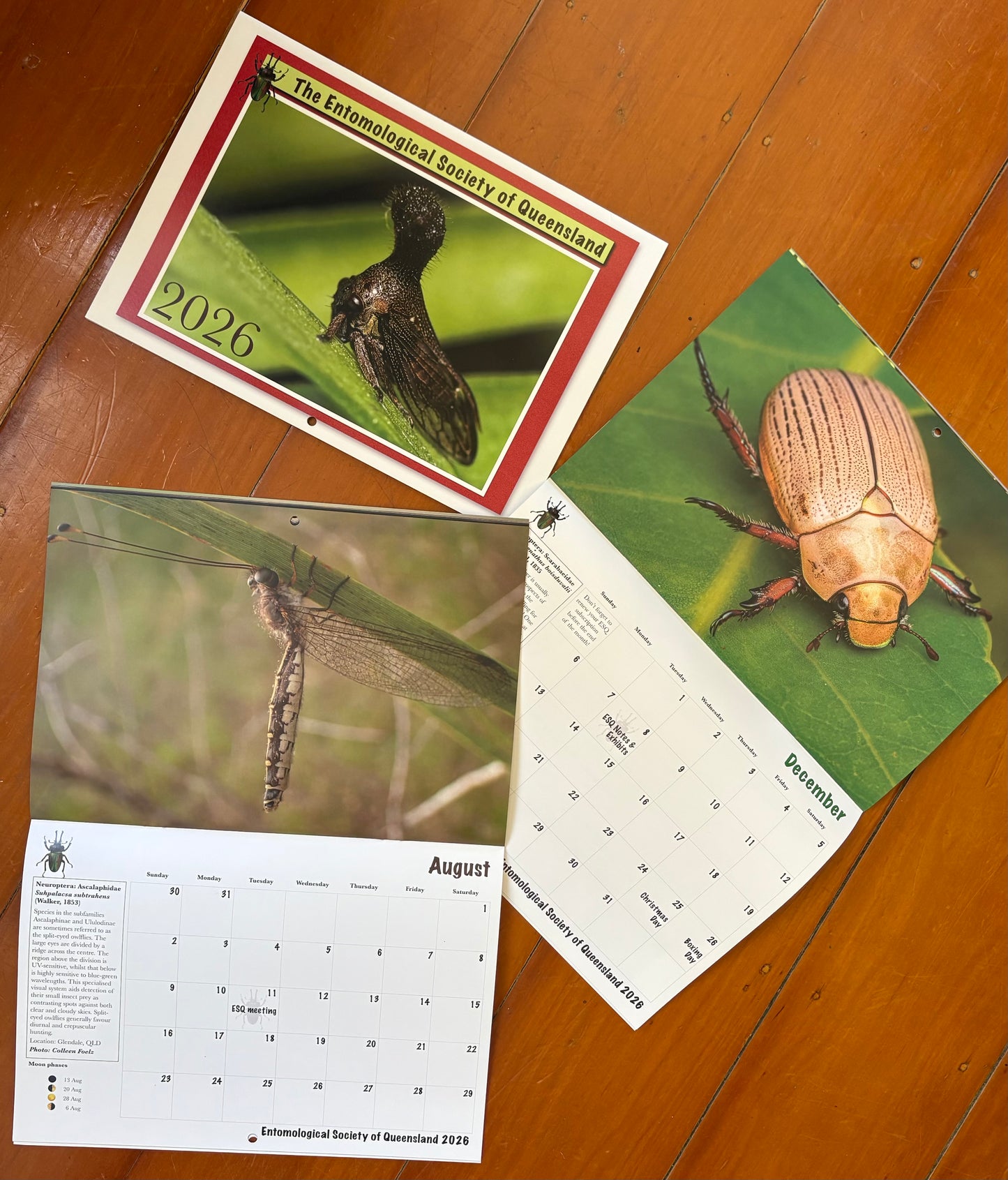 Insect Calendar