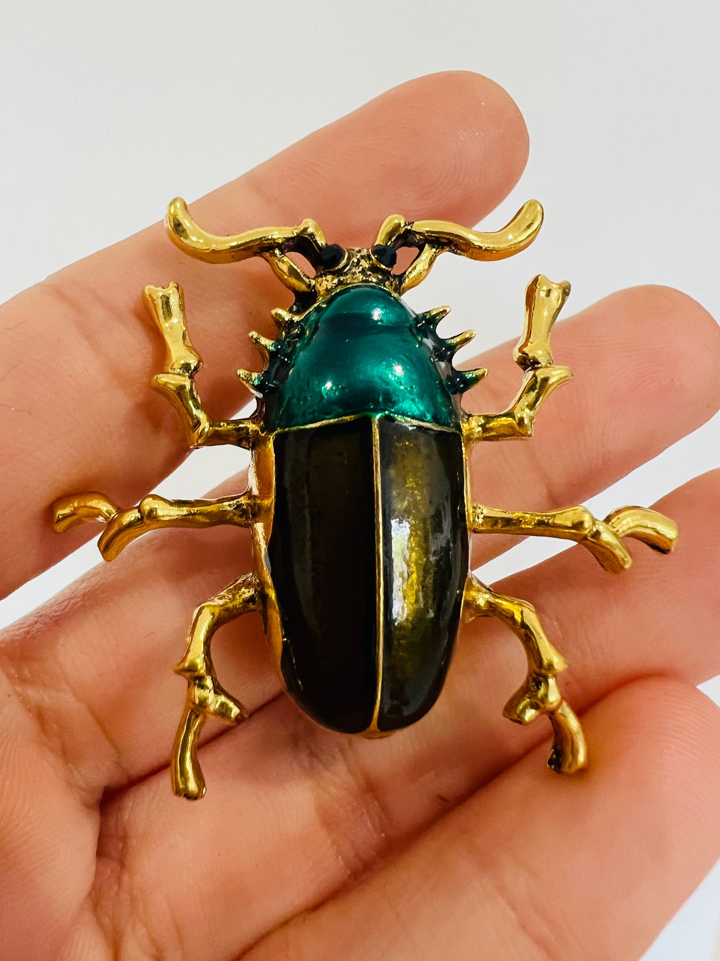 Spiny beetle brooch