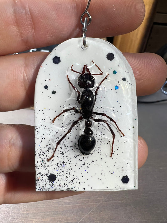 Custom Bull ant lonely queen earring