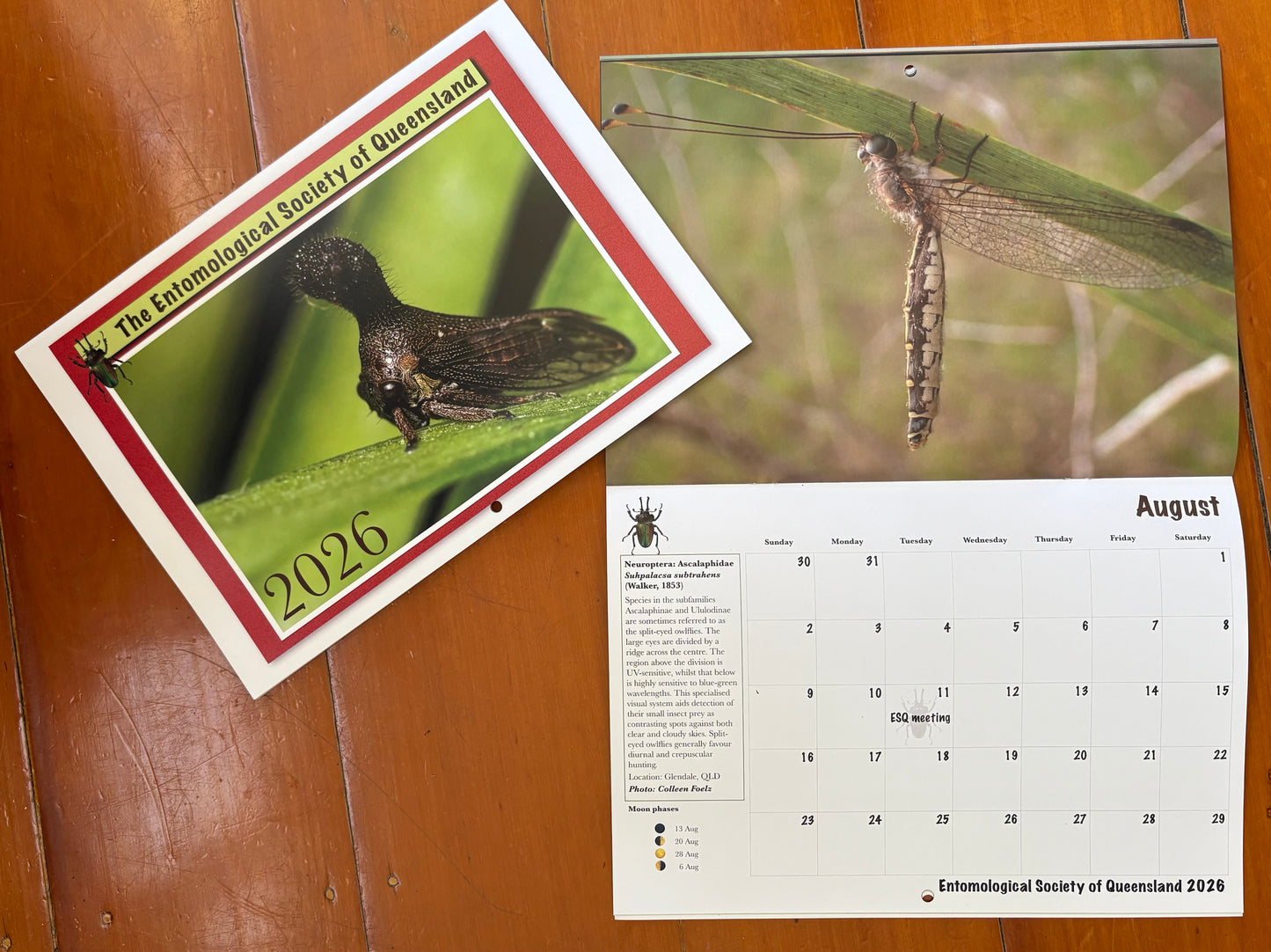 Insect Calendar