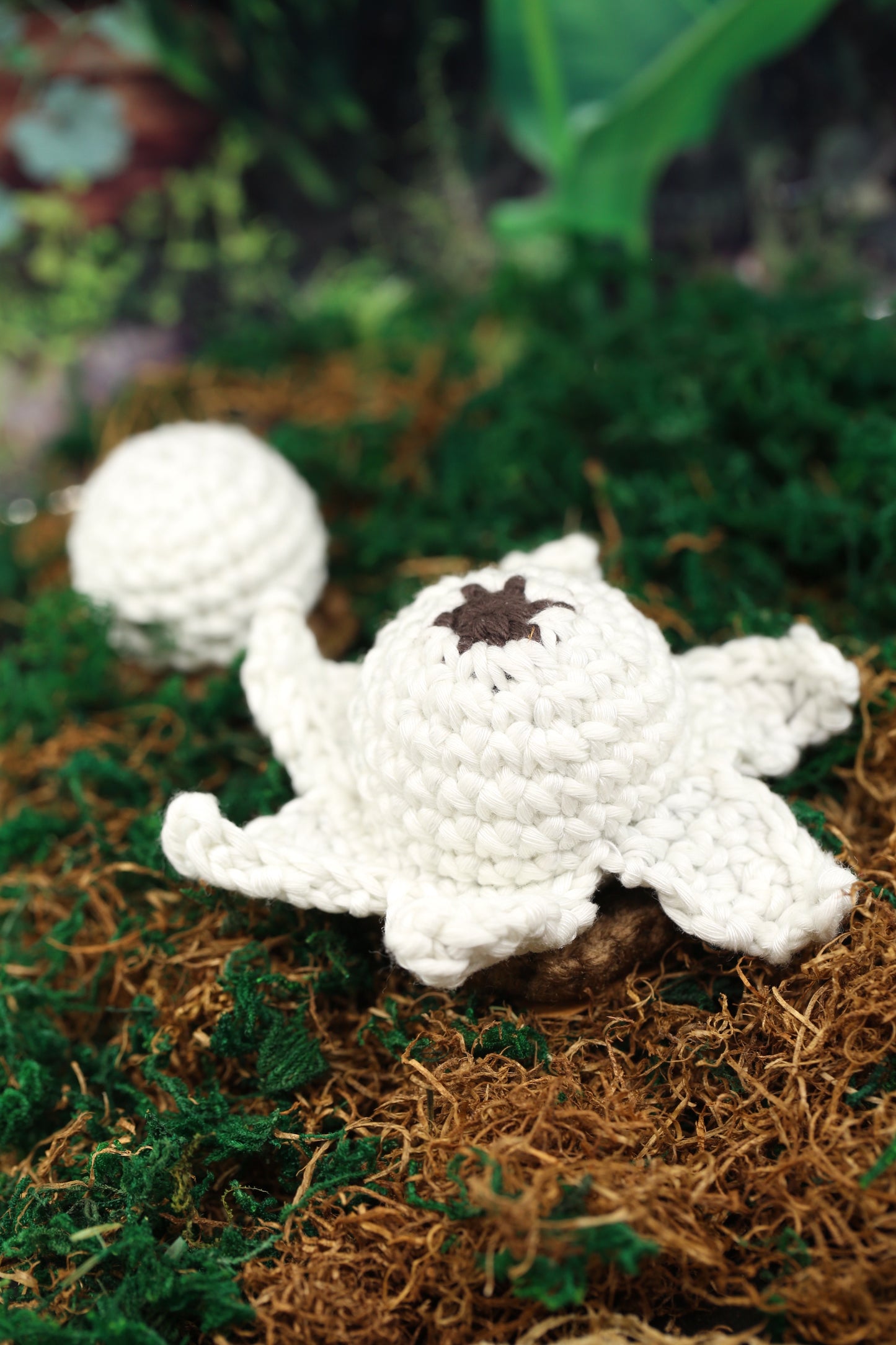 Earthstar crochet sculpture