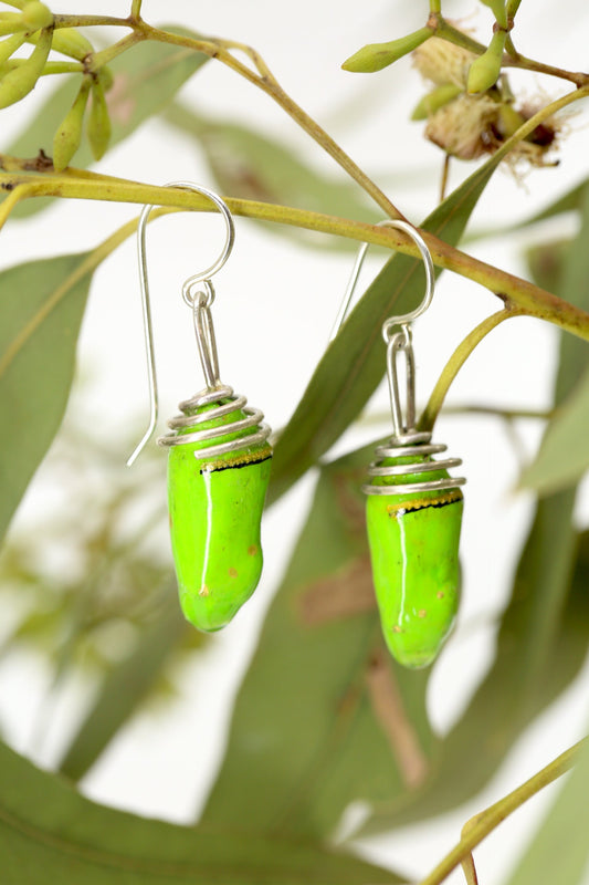 Recycled Monarch chrysalis earrings - Green tone