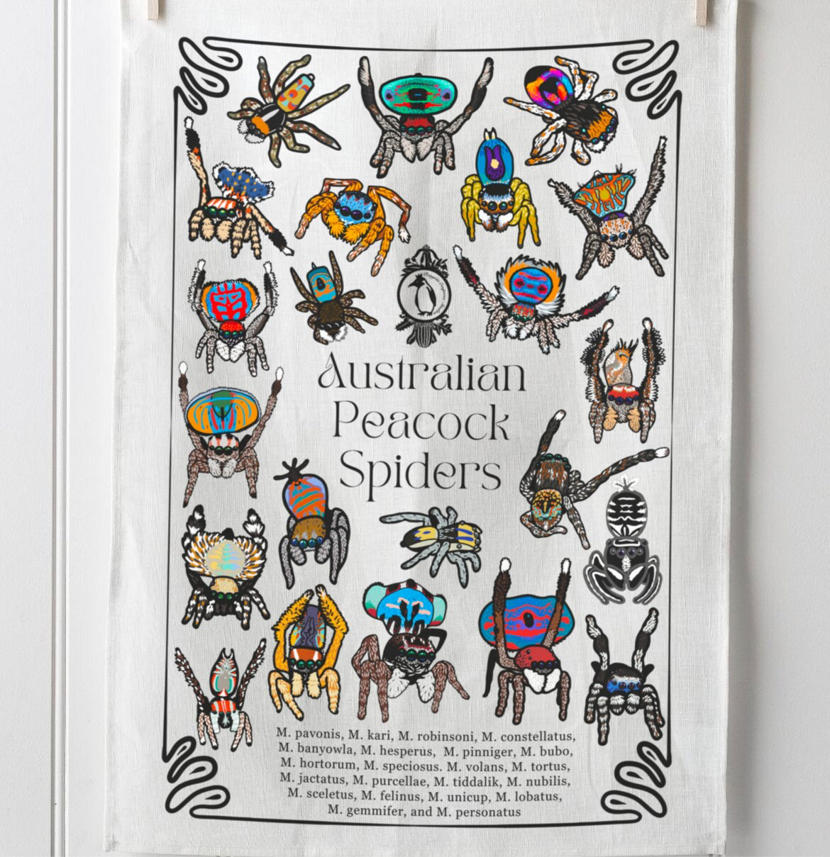 Tea Towel -Australian Peacock spiders