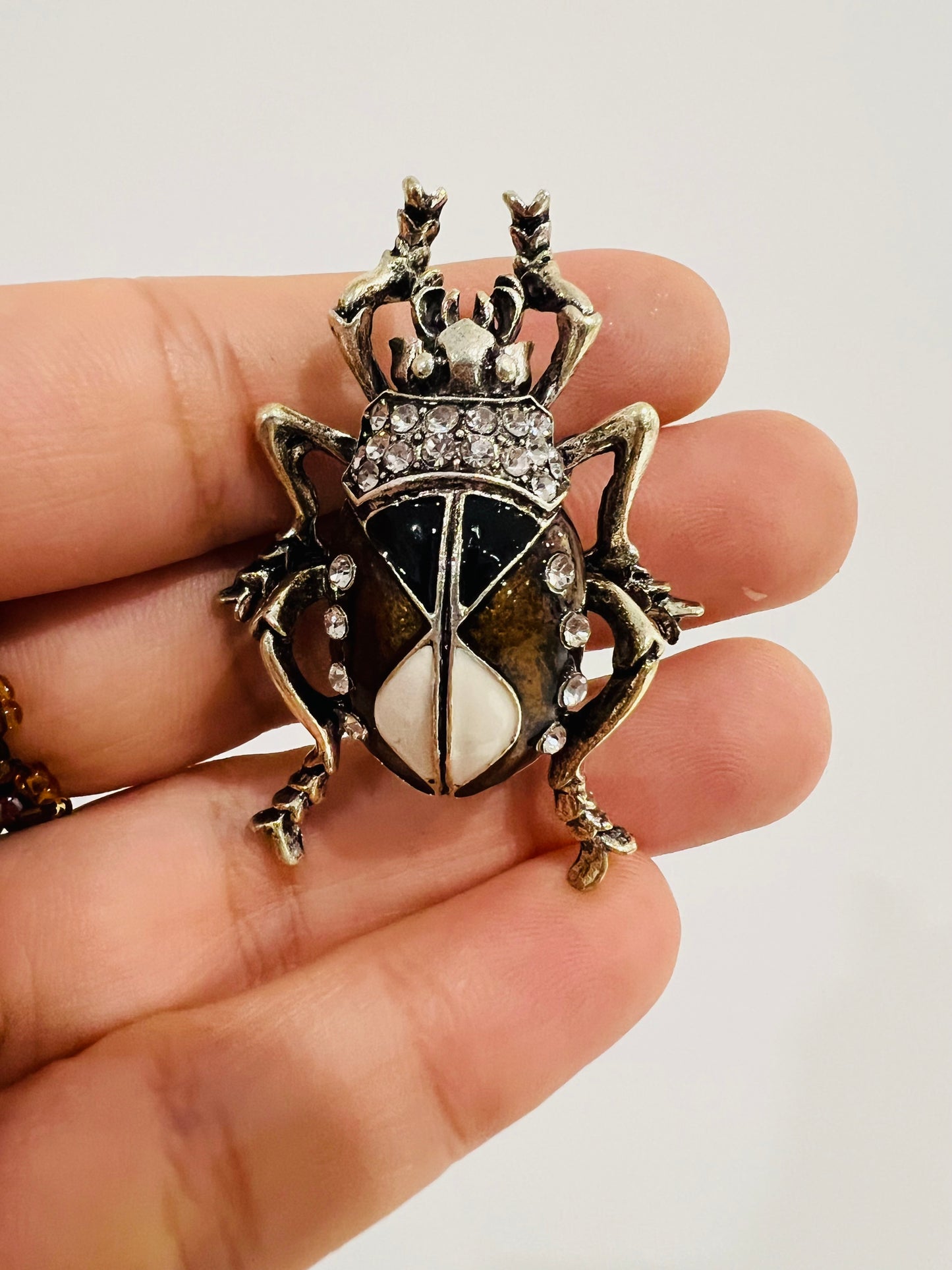 Prince beetle brooch