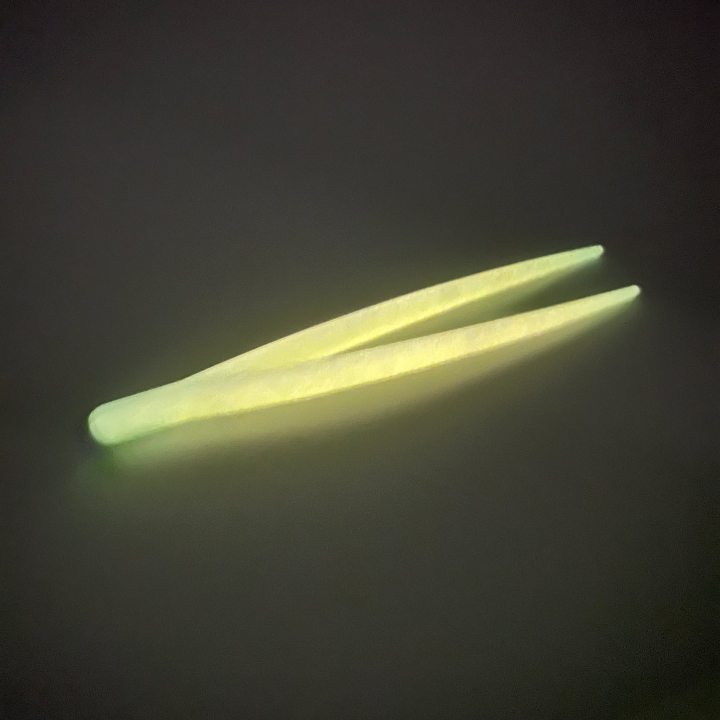 3D Printed Entomological Forceps