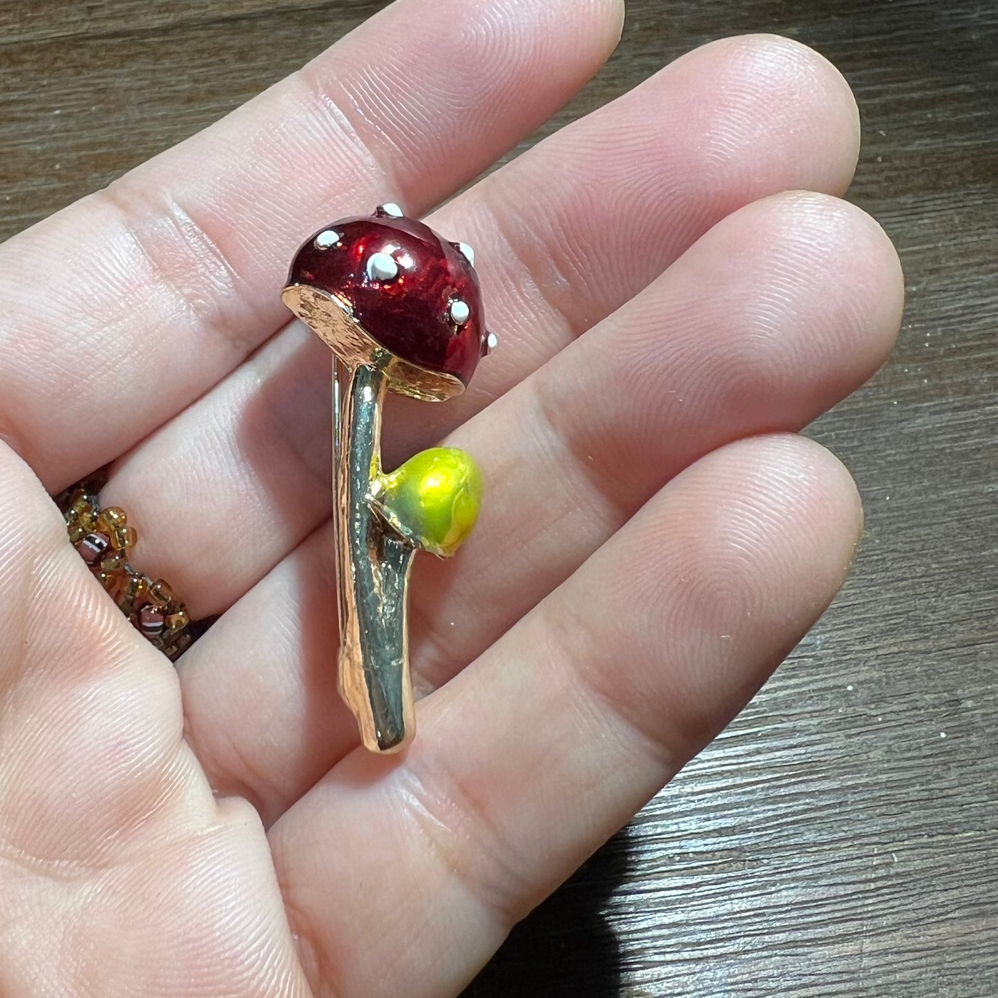 Amanita and Leucoprinus mushroom brooch