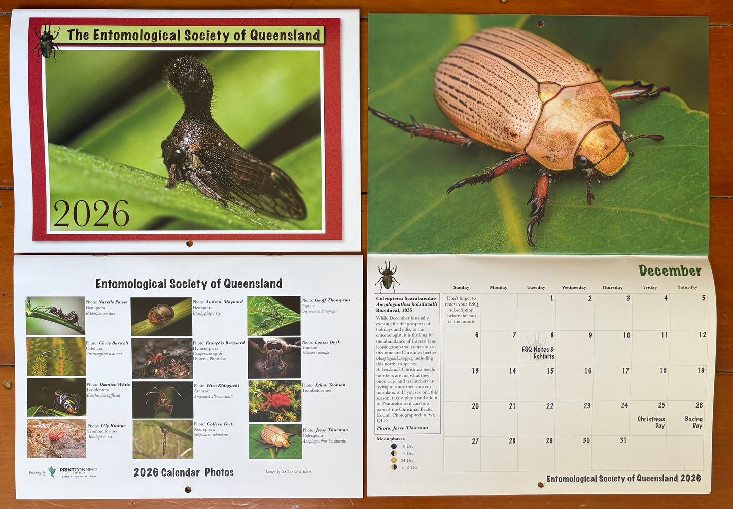 Insect Calendar
