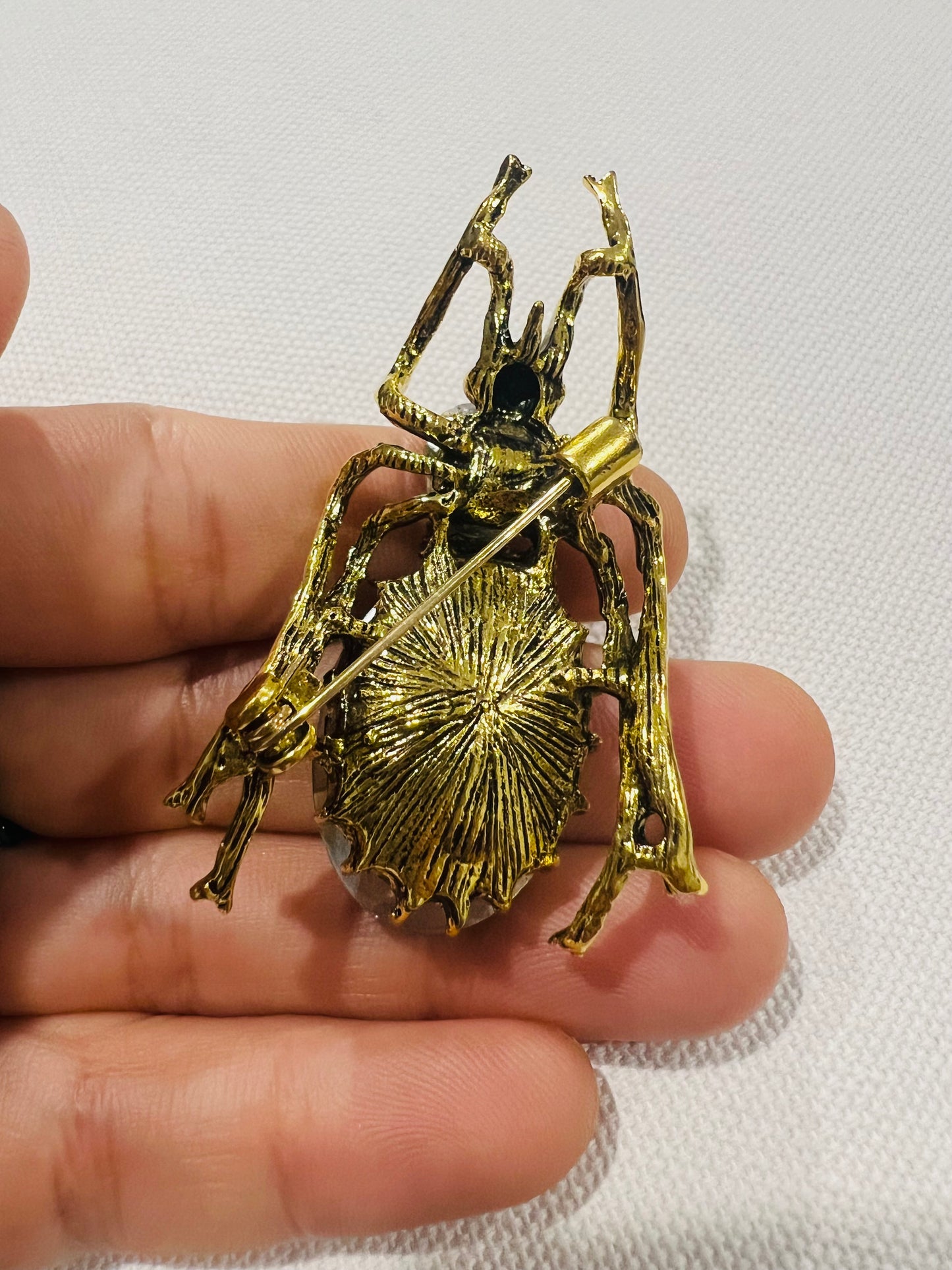 Timid beetle brooch