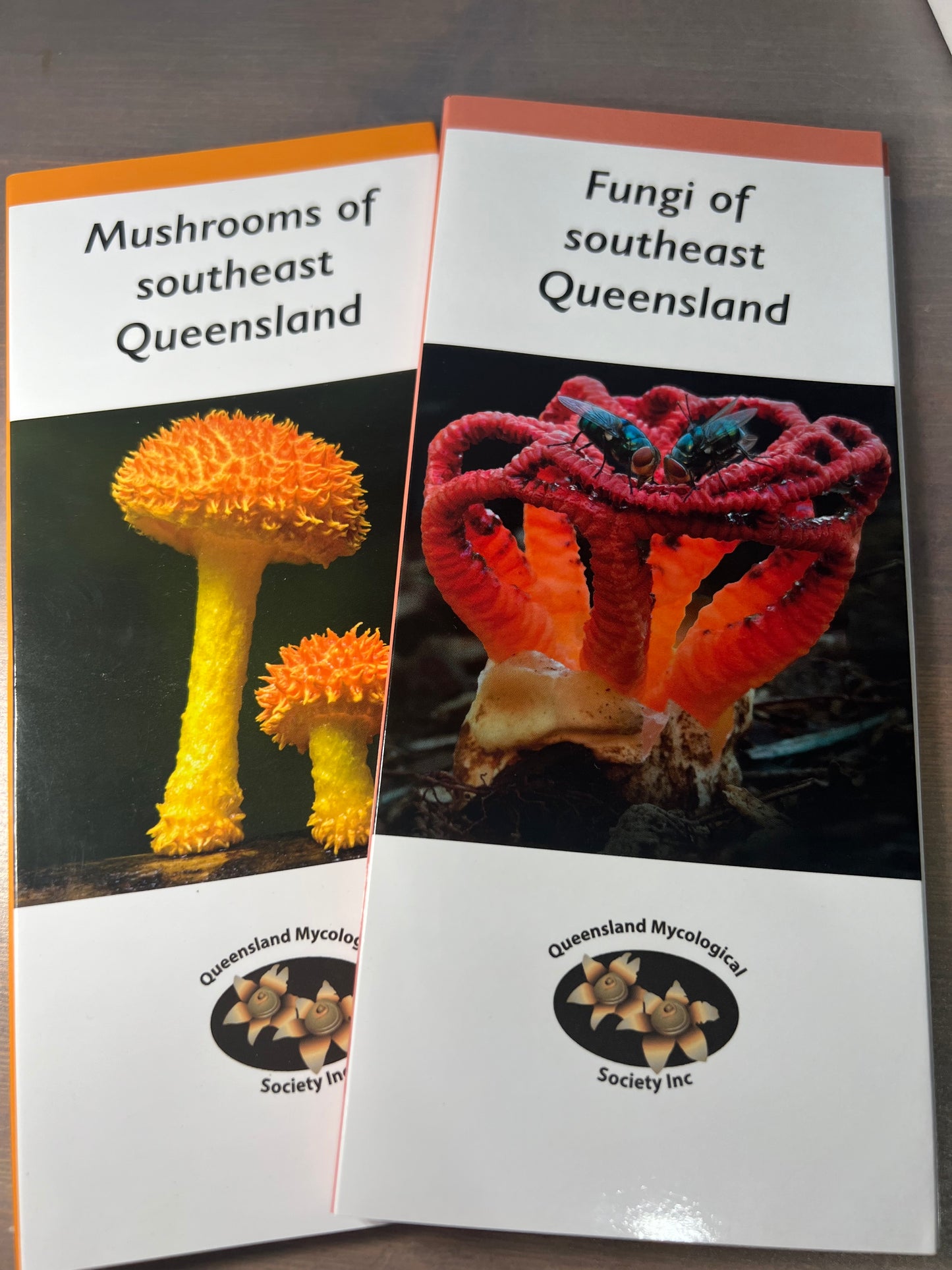 Mushrooms of Southest Queensland