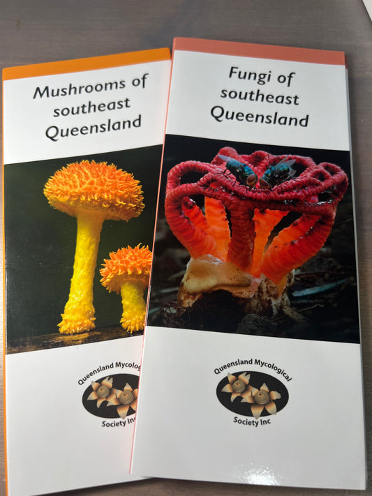 Pair of Guides: Mushrooms and Fungi of Southest Queensland