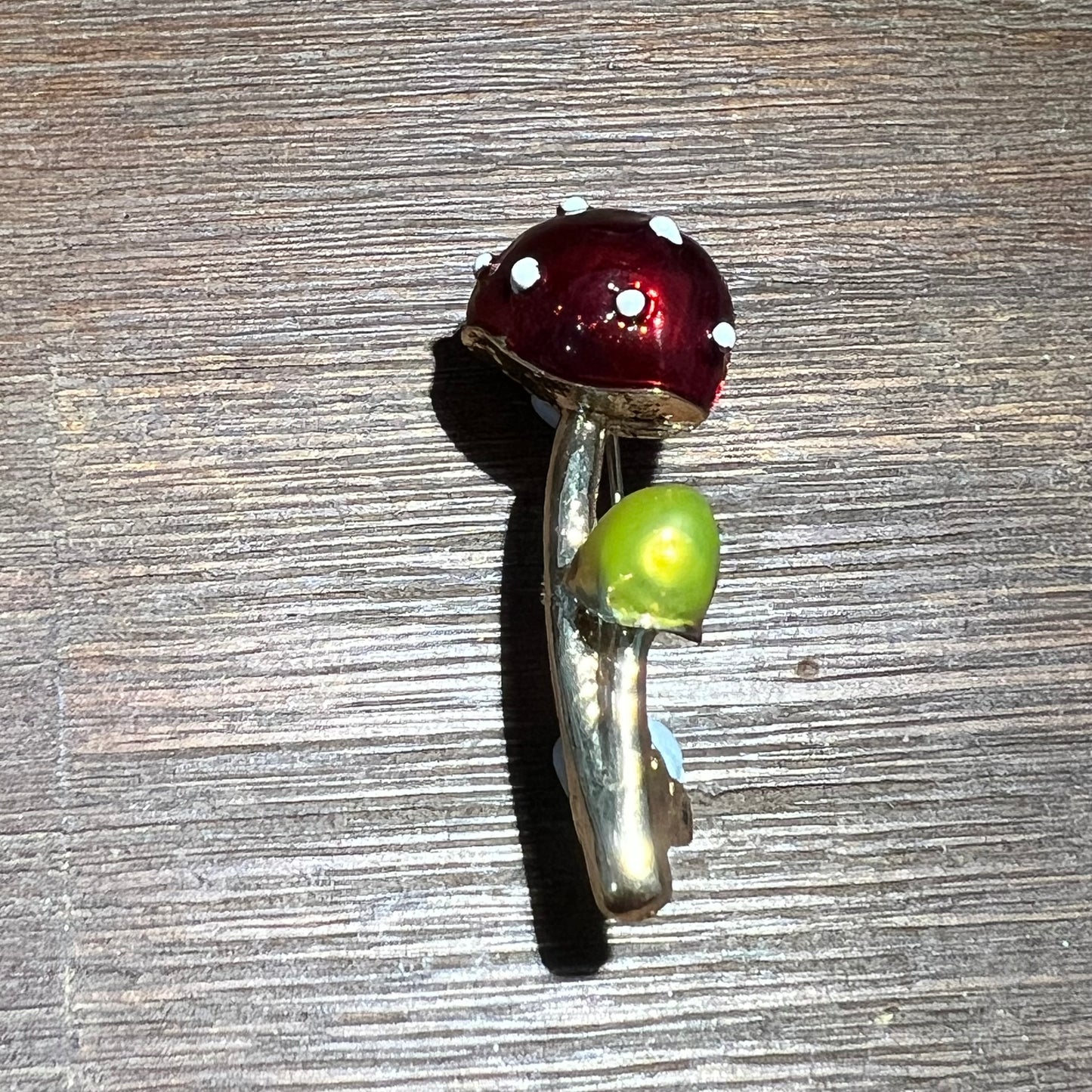 Amanita and Leucoprinus mushroom brooch