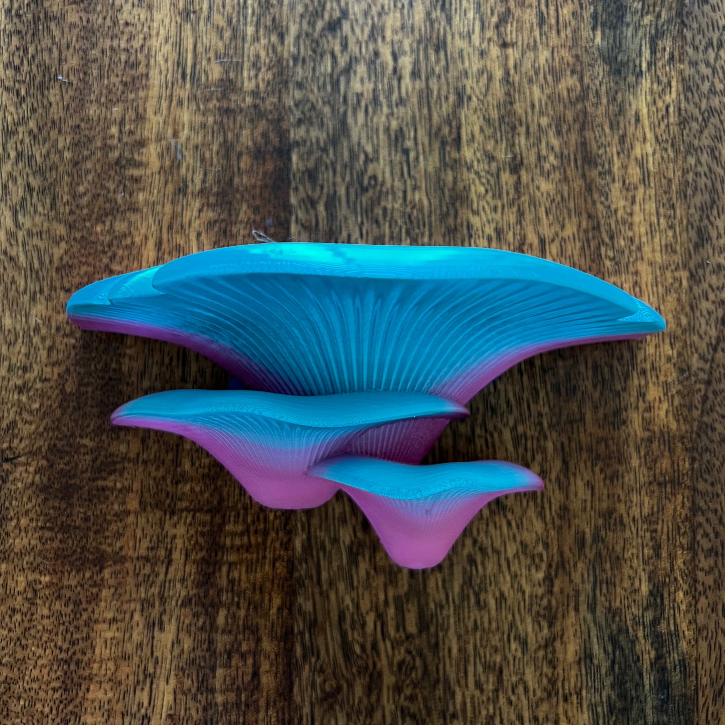 3D Printed Mushroom Wall shelves