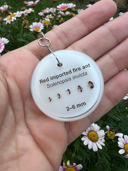 Red Imported Fire Ant keychains