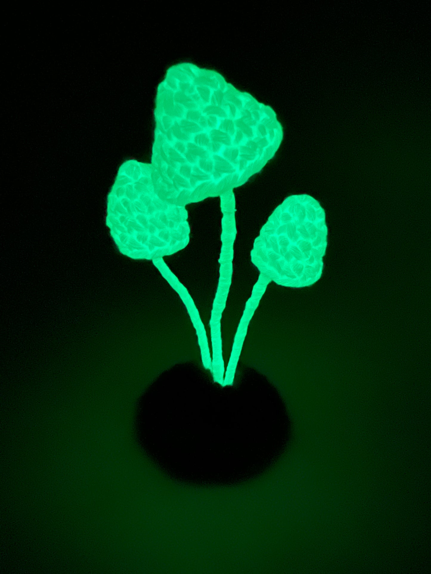 Glow-in-the-dark Marasmus mushroom sculpture
