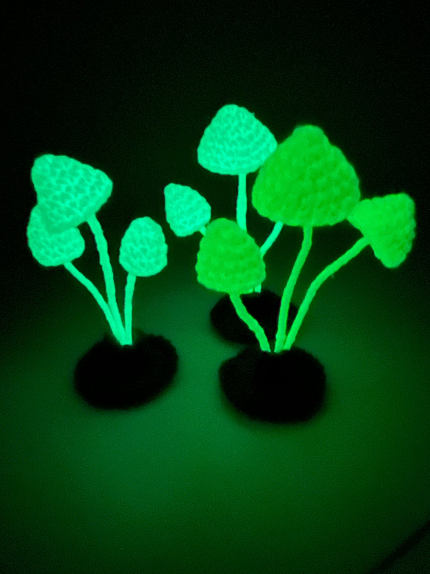 Glow-in-the-dark Marasmus mushroom sculpture