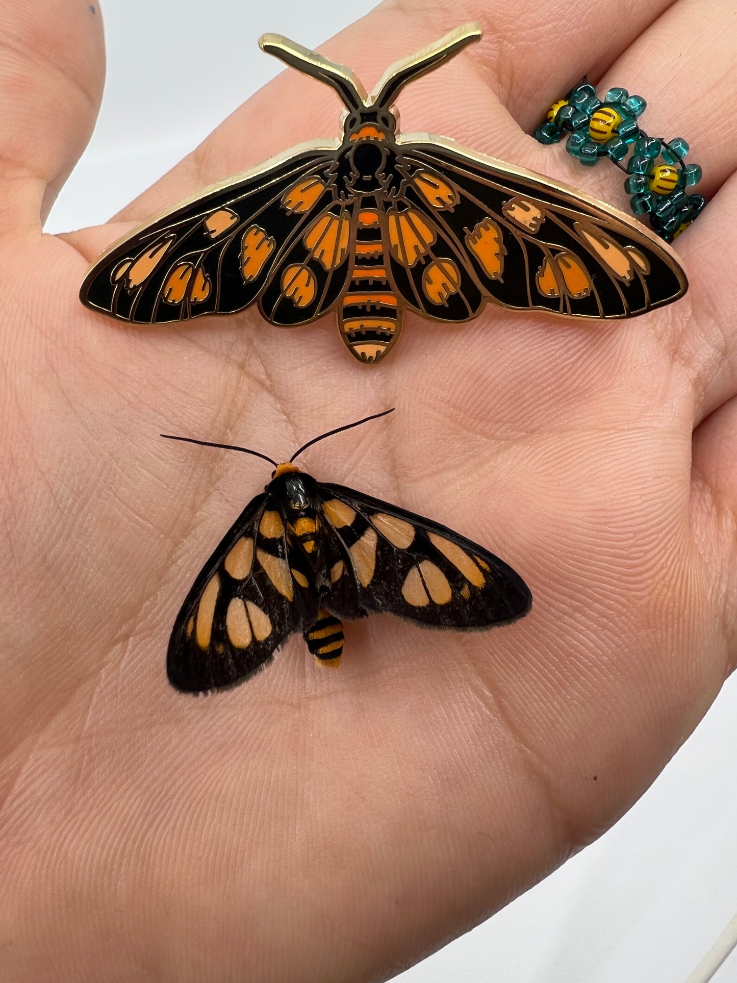 Tiger Moth pin