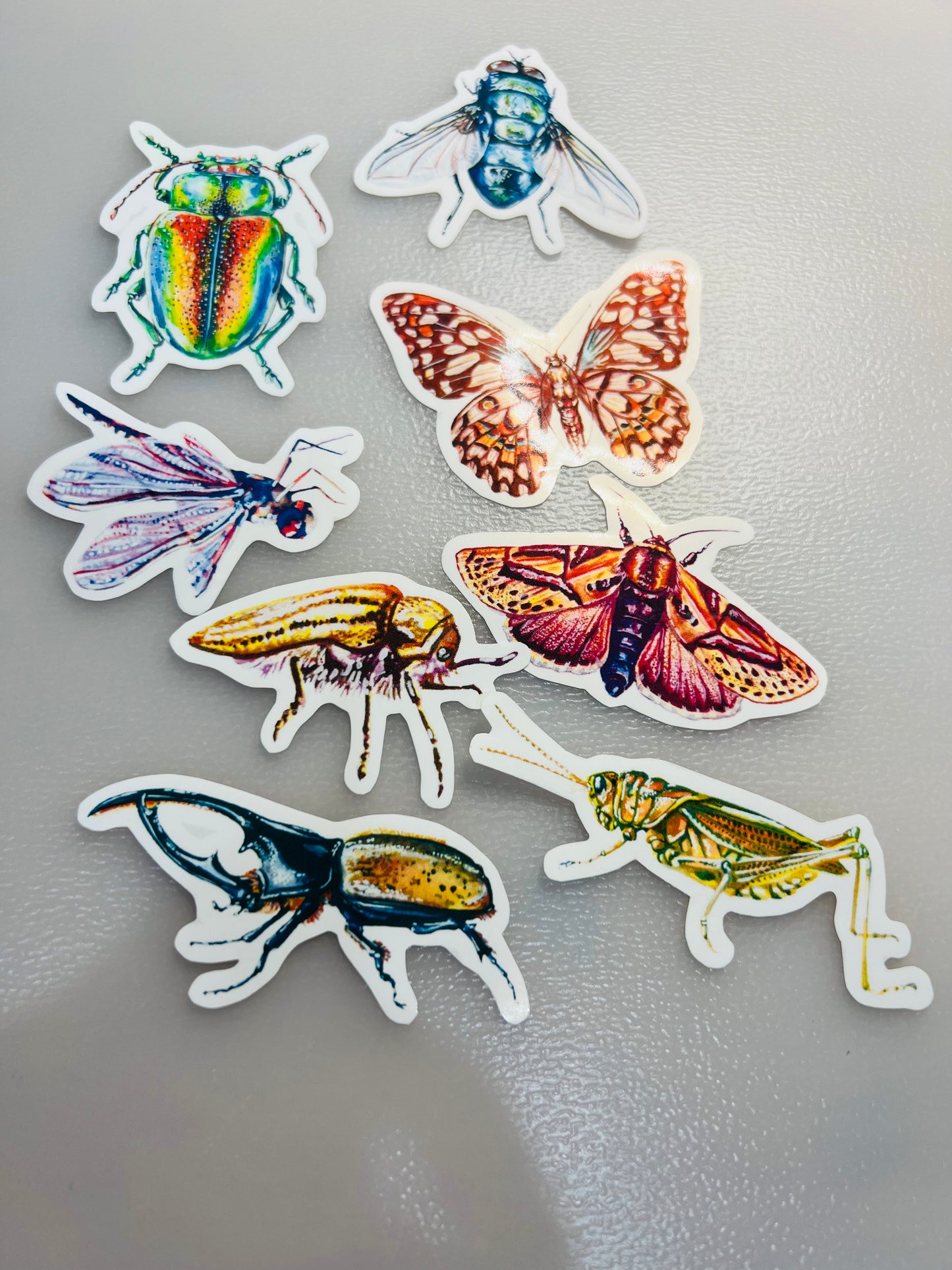 Insect stickers - 8 stickers