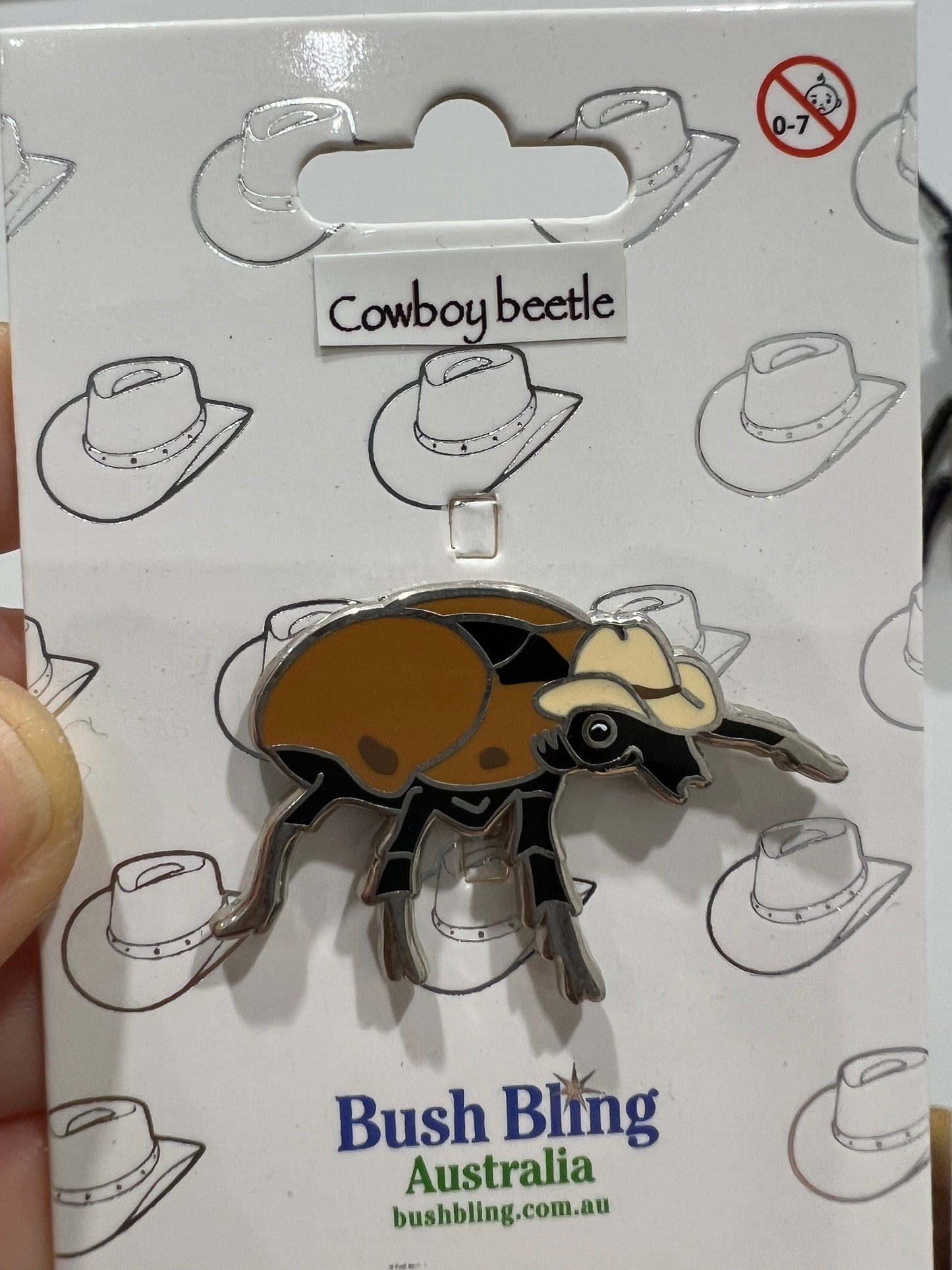 Australian Cowboy beetle pin