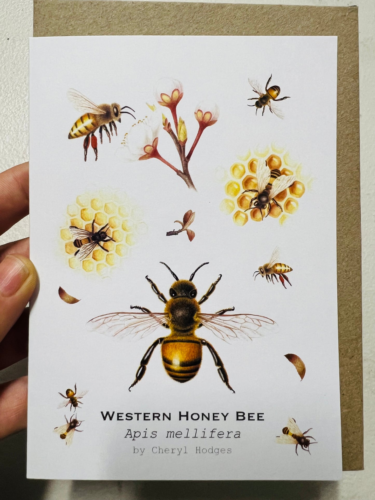 Western Honey Bee Greeting Card