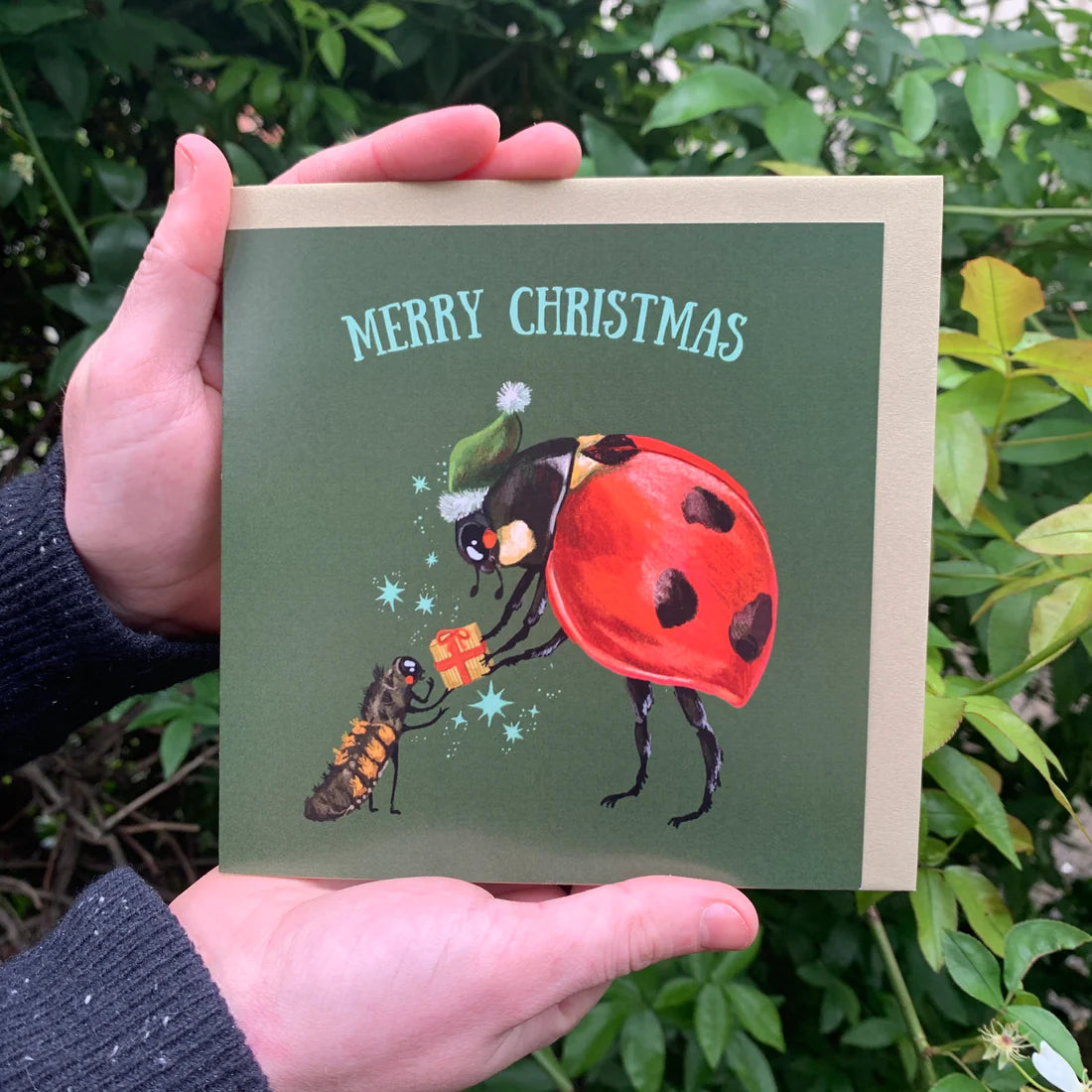 Ladybirds Merry Christmas Greeting Card