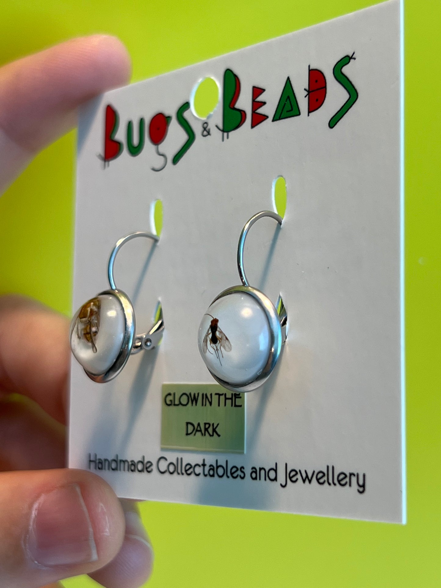 QLD Fruit Fly and parasitoid earrings