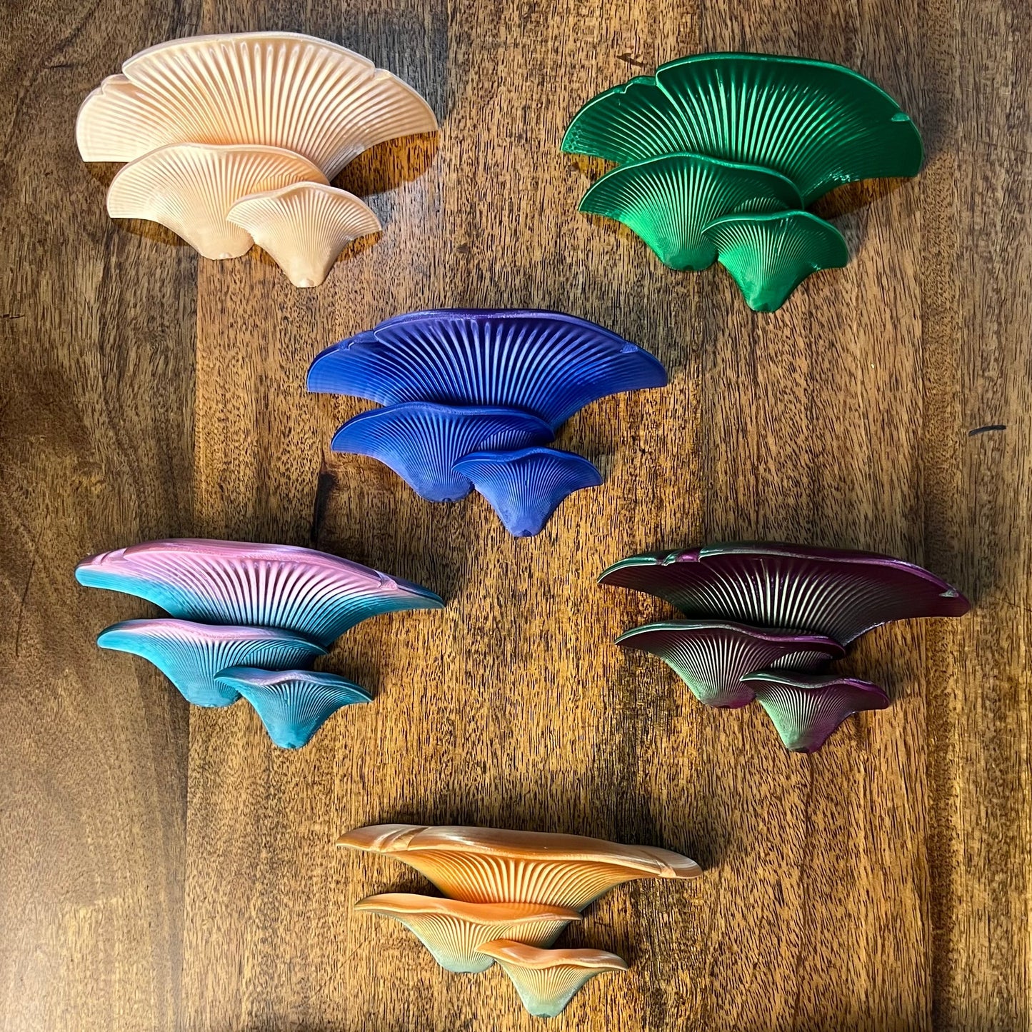 3D Printed Mushroom Wall shelves