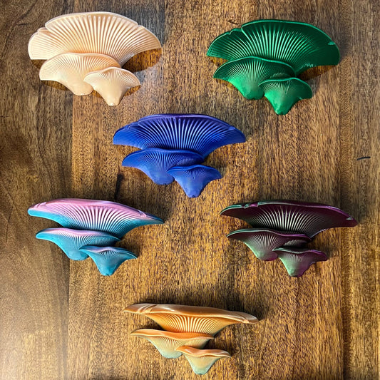 3D Printed Mushroom Wall shelves
