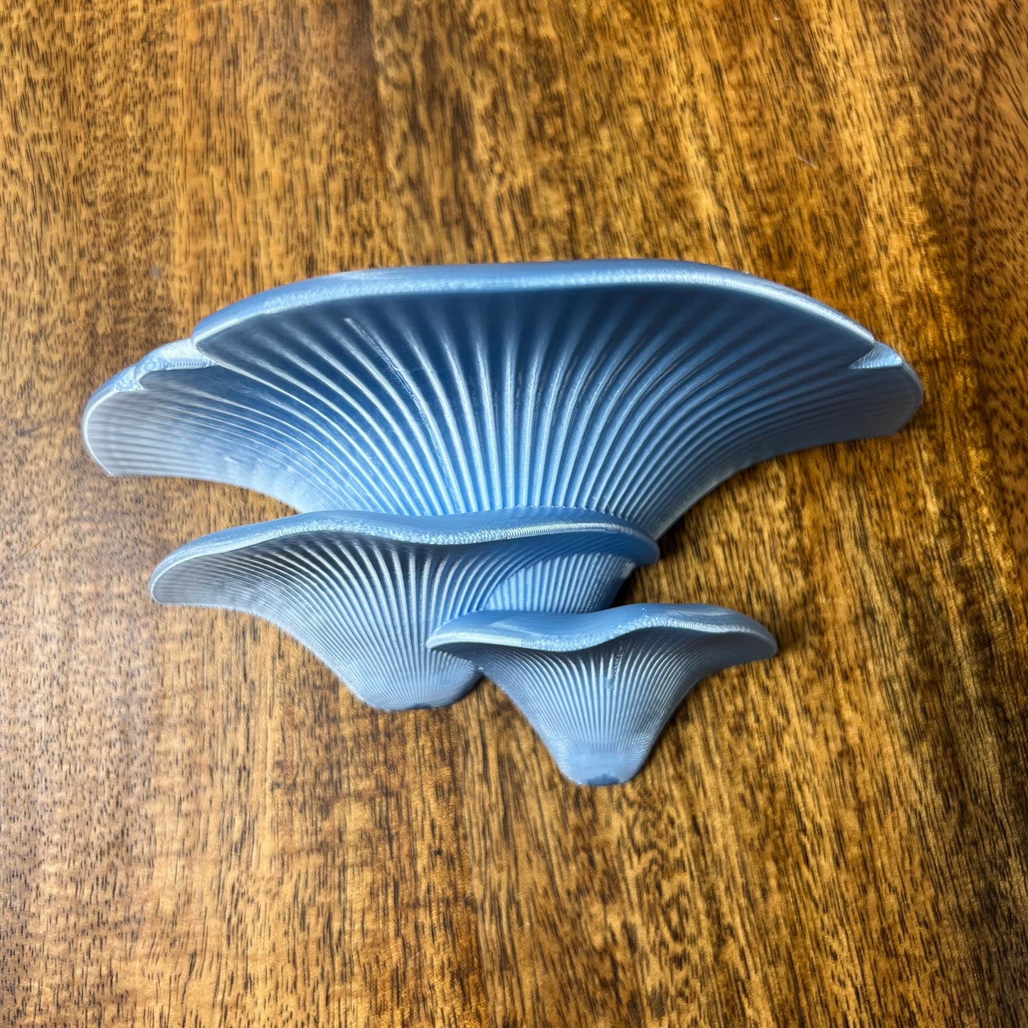 3D Printed Mushroom Wall shelves