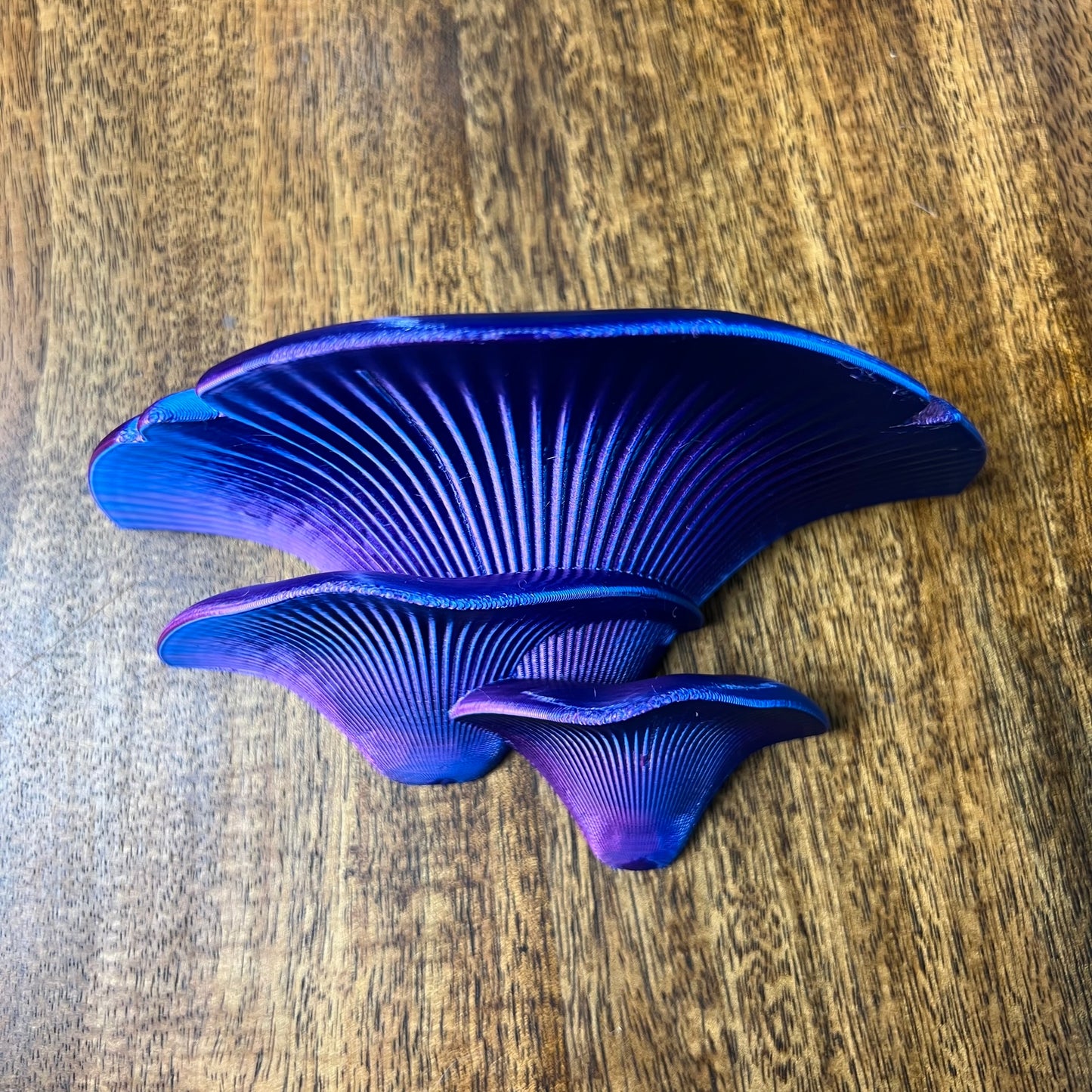 3D Printed Mushroom Wall shelves