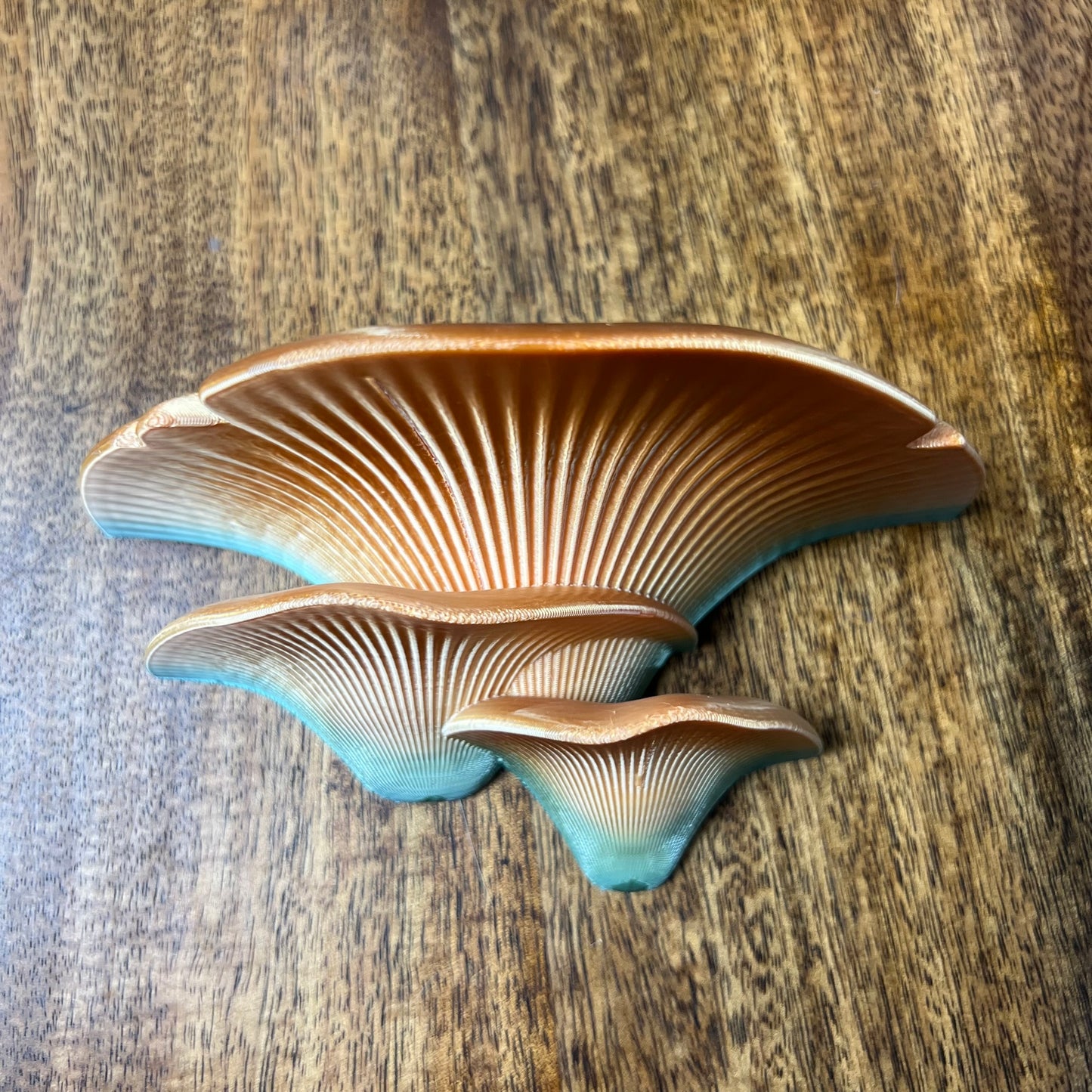 3D Printed Mushroom Wall shelves