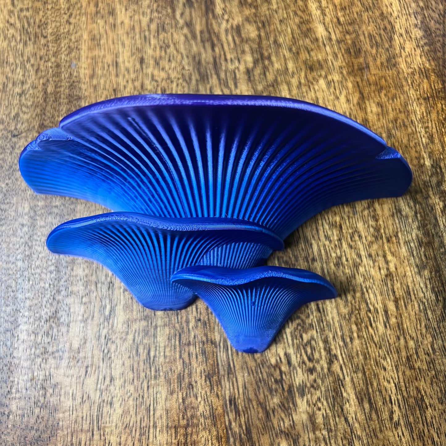 3D Printed Mushroom Wall shelves