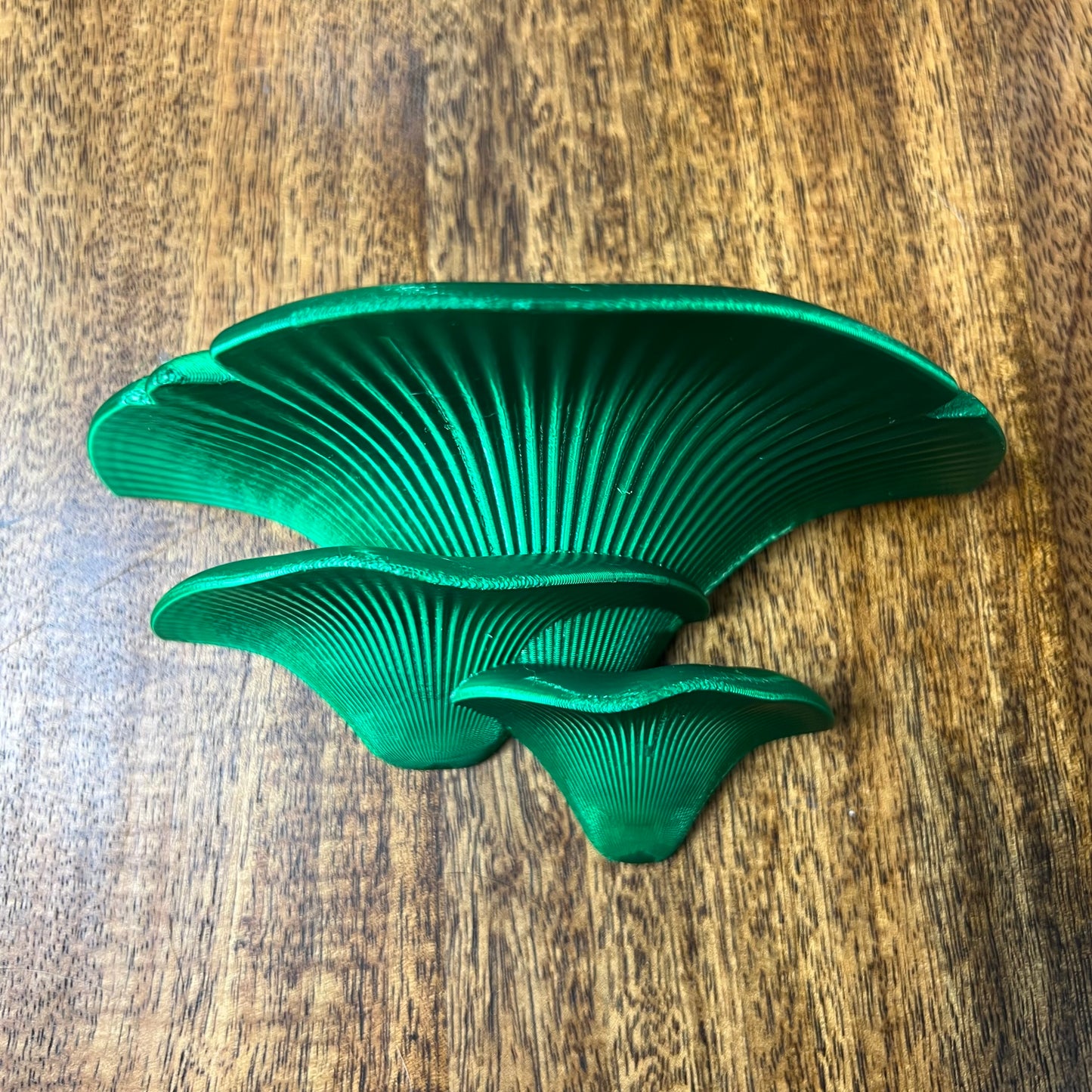 3D Printed Mushroom Wall shelves