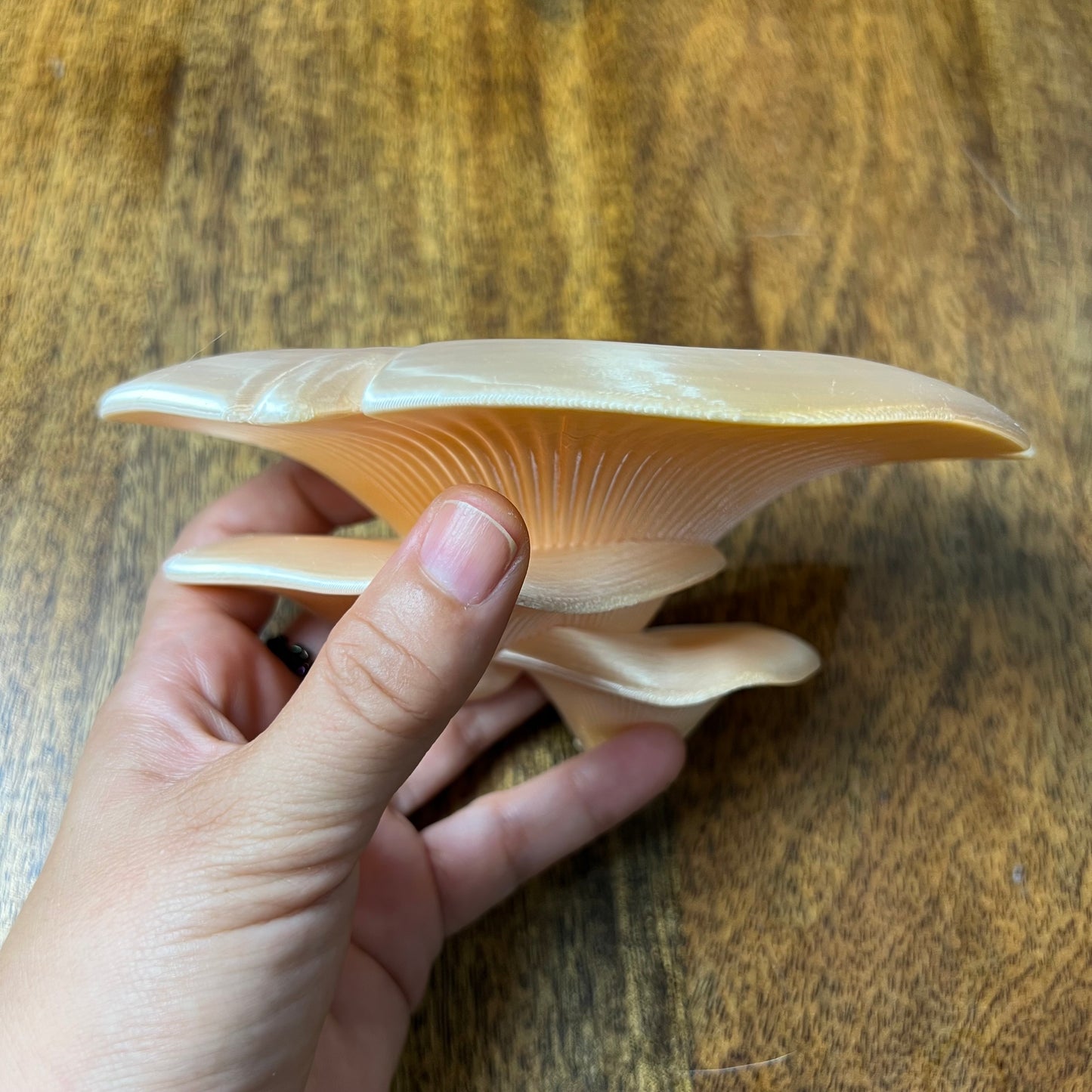 3D Printed Mushroom Wall shelves