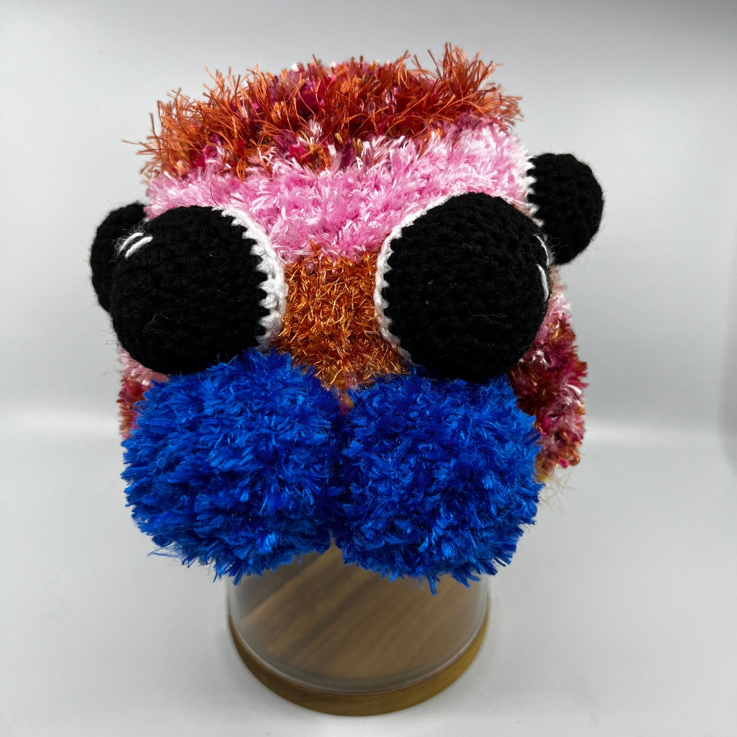 Jumping Spider Beanie - Handmade in Australia crochet spider hat