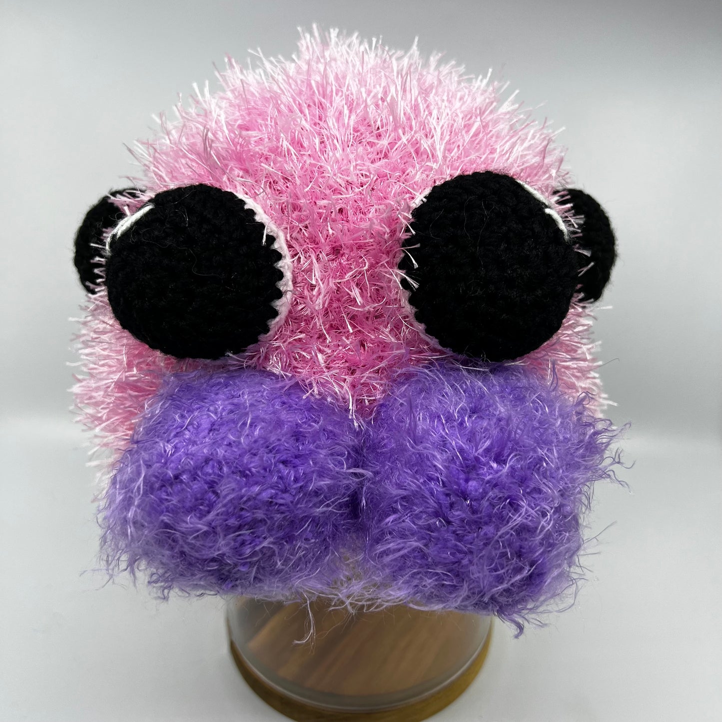 Jumping Spider Beanie - Handmade in Australia crochet spider hat