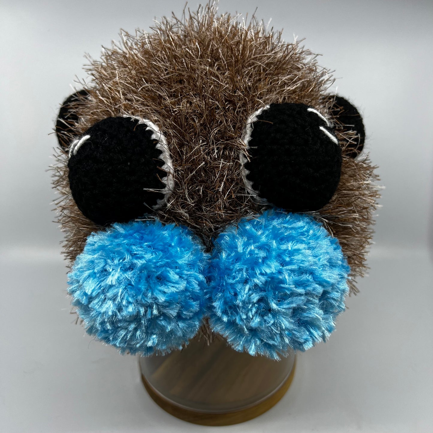 Jumping Spider Beanie - Handmade in Australia crochet spider hat