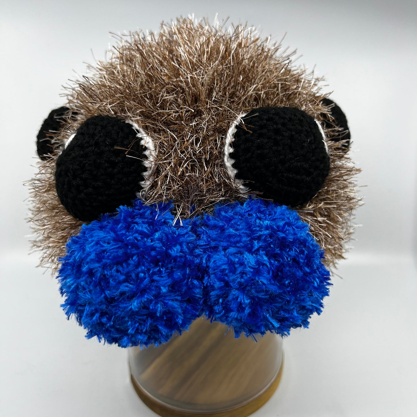 Jumping Spider Beanie - Handmade in Australia crochet spider hat