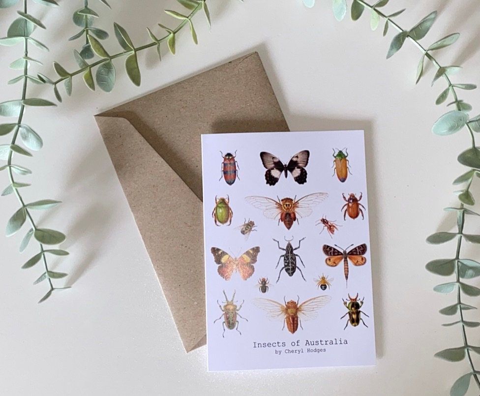 Card Pointed Insects Insects of Australia Greeting Card – Bugs and Beads