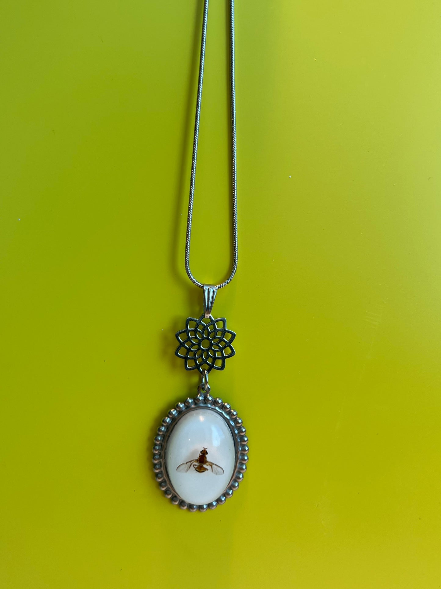 QLD Fruit Fly antique pendant
