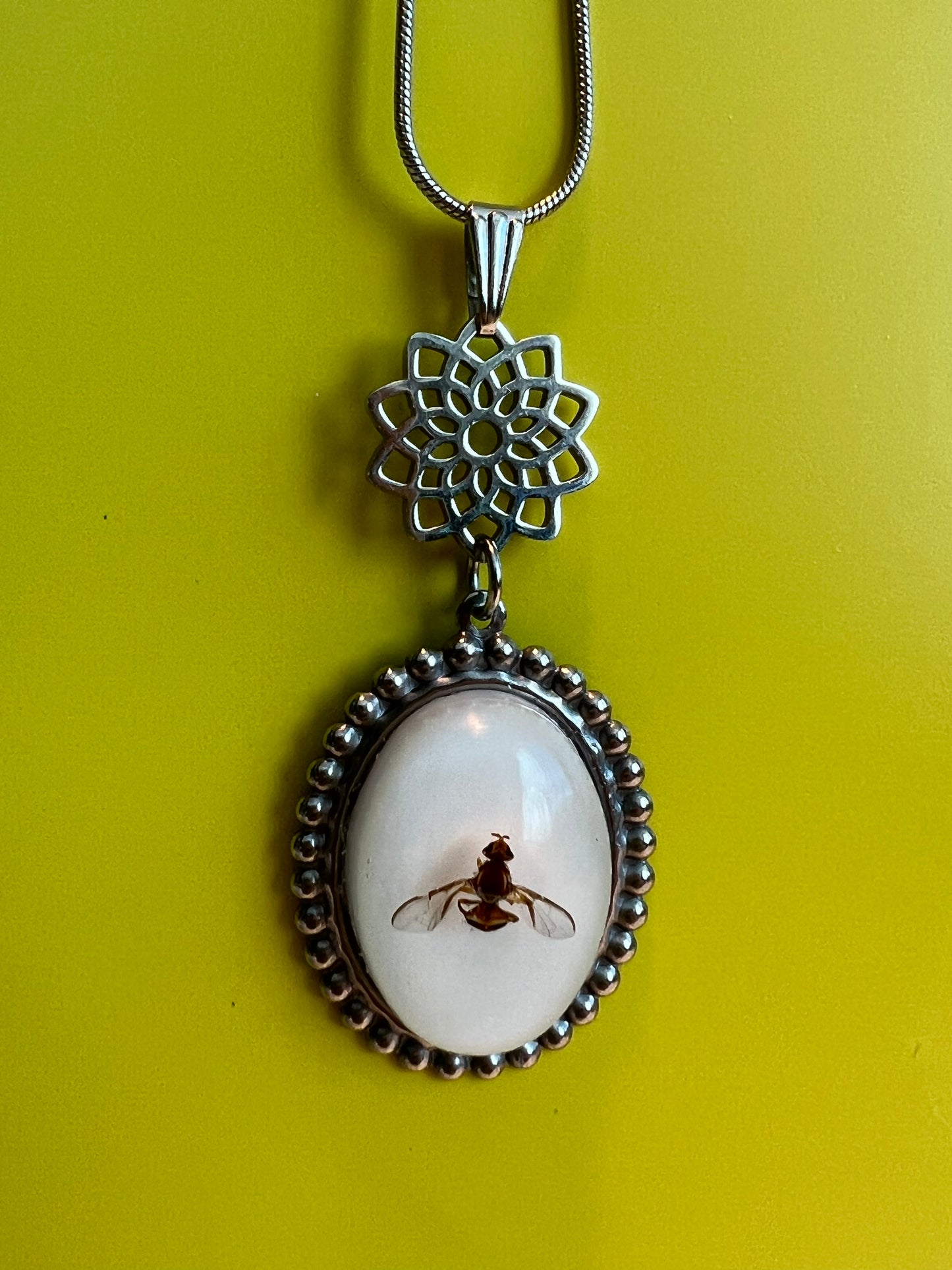 QLD Fruit Fly antique pendant