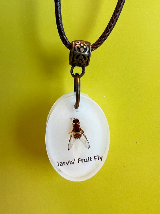 Jarvis' Fruit Fly necklace
