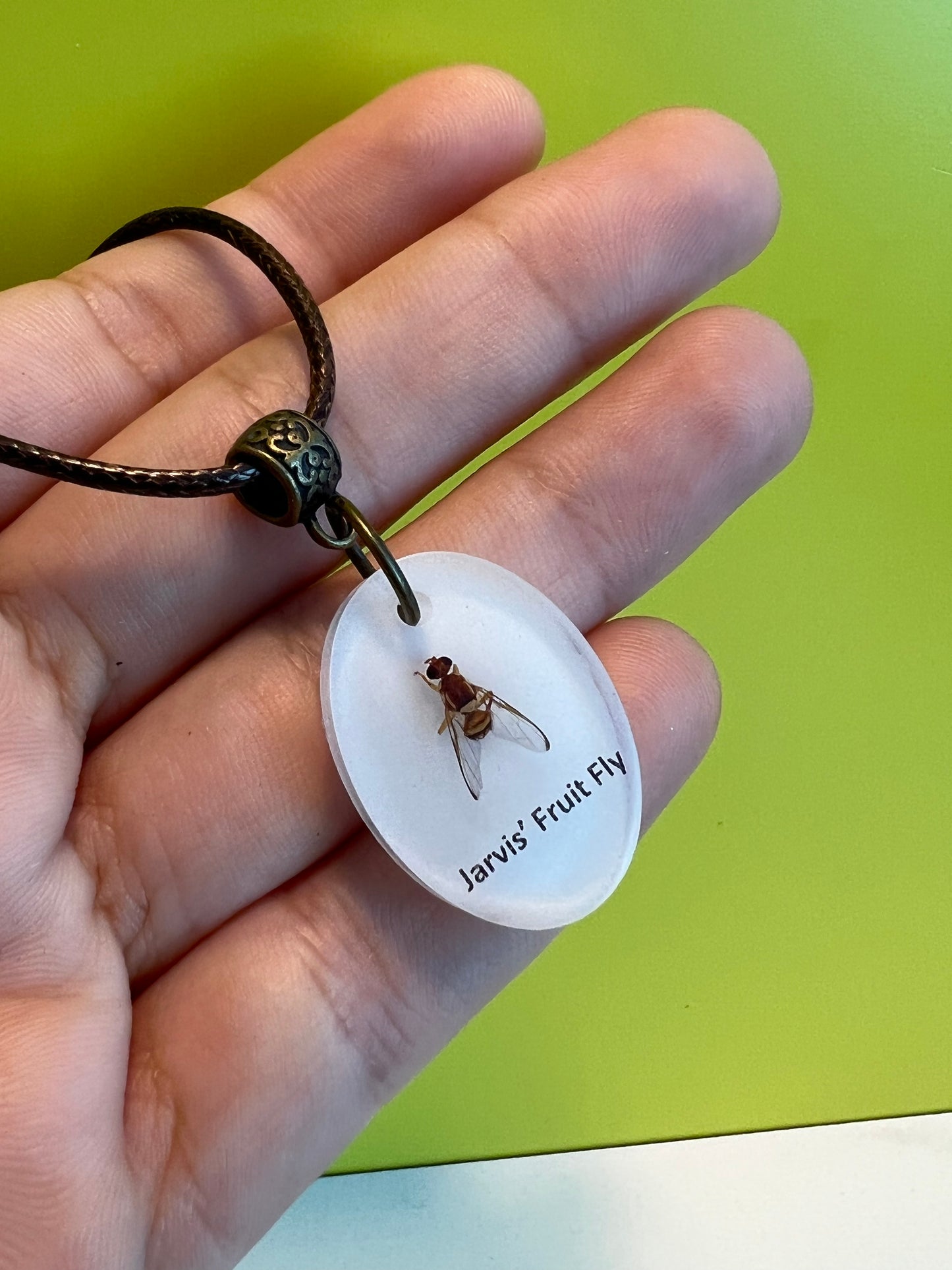 Jarvis' Fruit Fly necklace