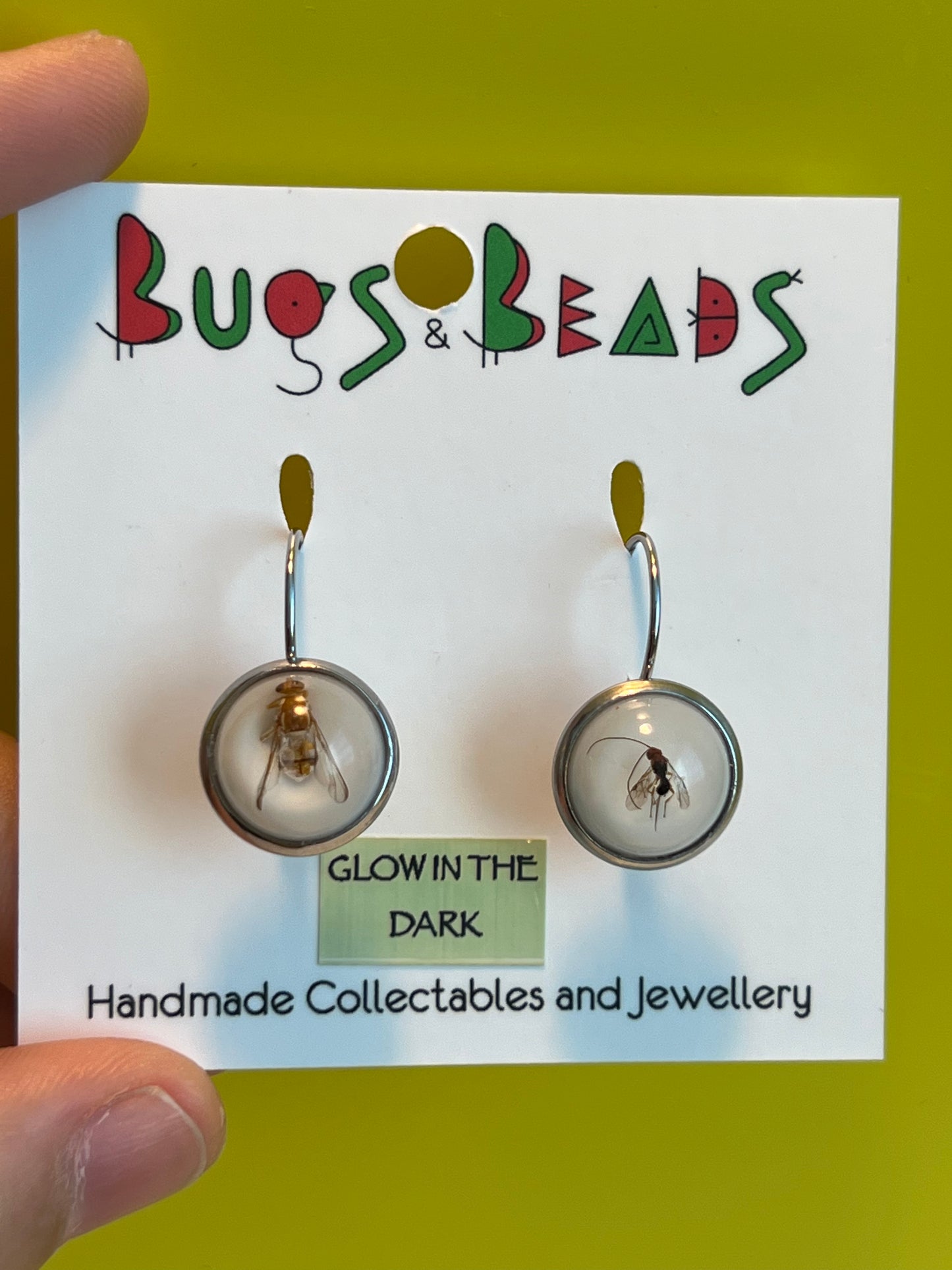 QLD Fruit Fly and parasitoid earrings