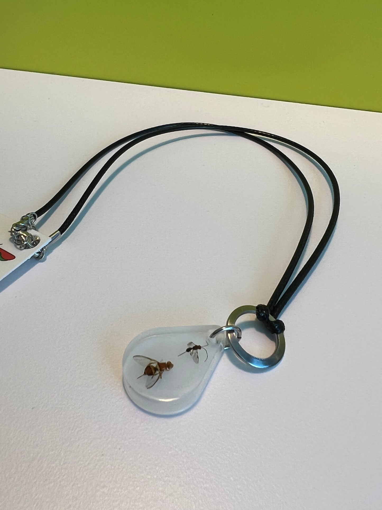 QLD Fly and parasitoid necklace