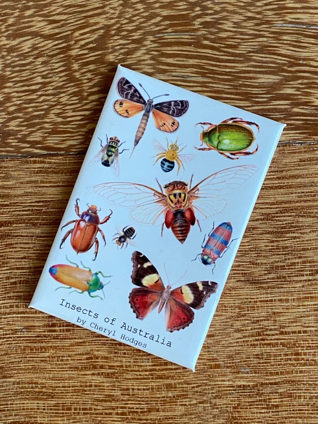 Insects of Australia magnet – Bugs and Beads